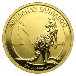 kangaroo
